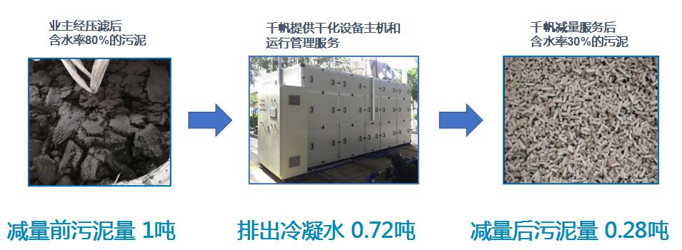 香港免费大全资料