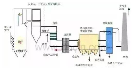 香港免费大全资料