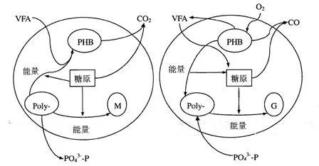 香港免费大全资料