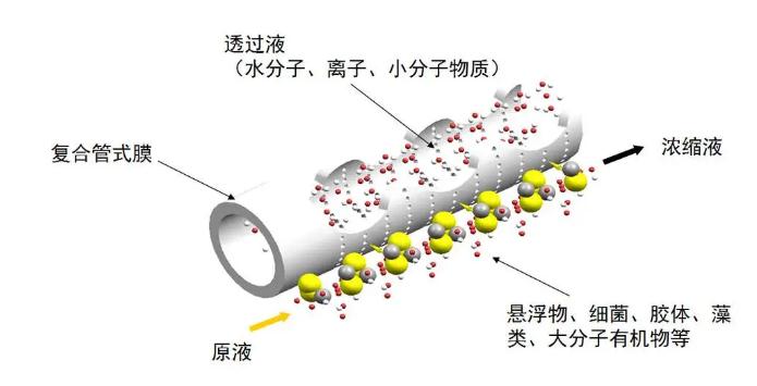 香港免费大全资料