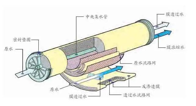 香港免费大全资料